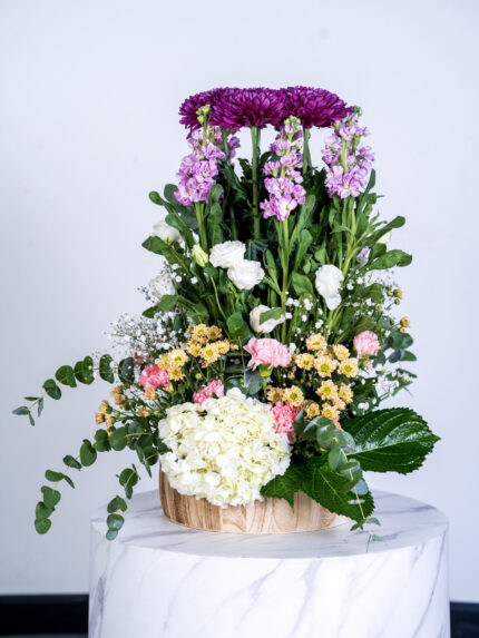 Delistar Purple, Mathiola, Vesiayanthus Wooden Pot