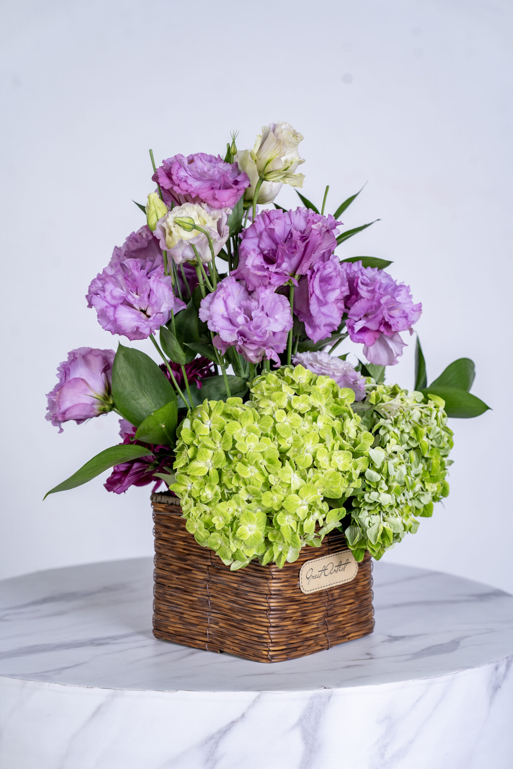 Vesiayanthus purple and hidrengia green riscus